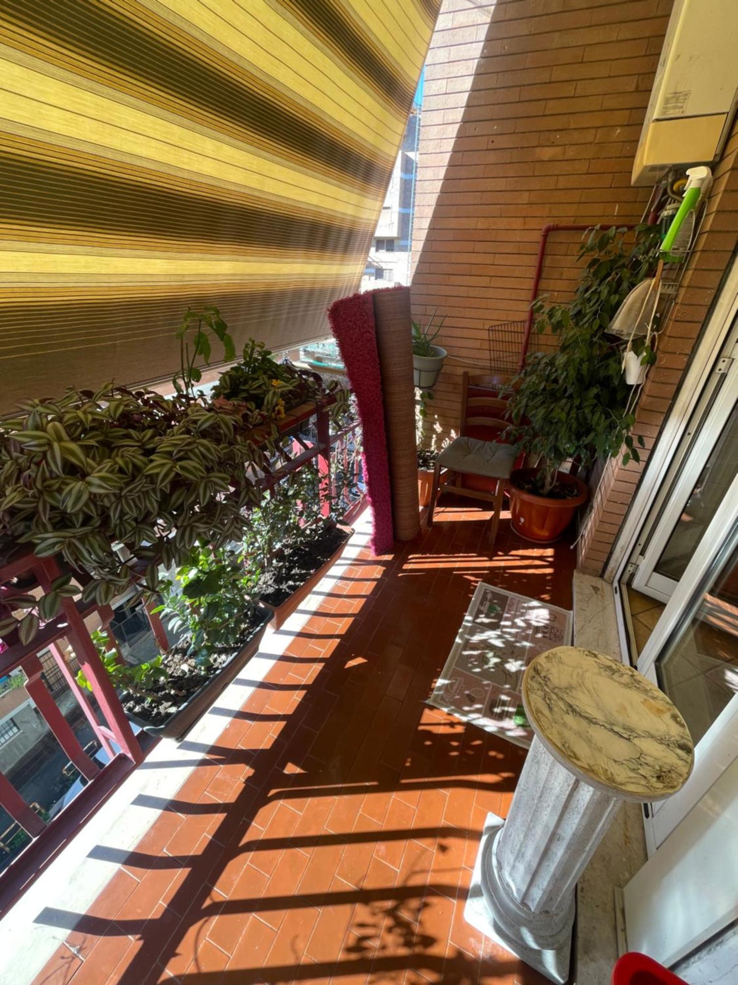 רומא Exotic Apartment מראה חיצוני תמונה